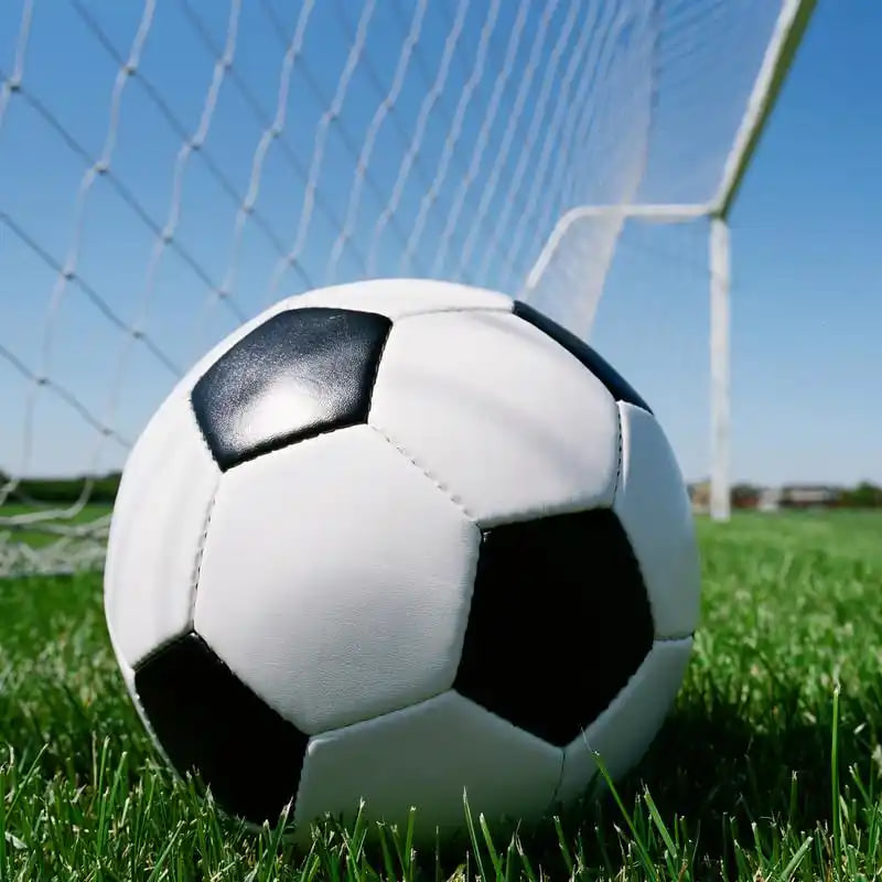 足球预测软件使用流程示意图